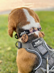 Rocky Mountain Dog Personalized Wooden Dog 寵物名牌 產品細節圖 16