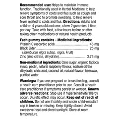 接骨木果免疫支援軟糖 (含維他命C + 鋅) 120粒 | 海外代購