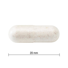 Jamieson 50+ 成人益生菌複合配方 (30粒 x 3樽) 產品圖片 4