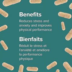 有機南非醉茄 (印度人參) 3600mg 特強配方 (240粒 超值套裝) | 海外代購