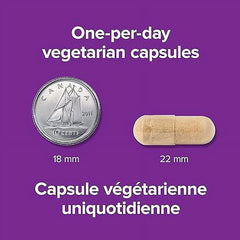 有機南非醉茄 (印度人參) 3600mg 特強配方 (240粒 超值套裝) | 海外代購